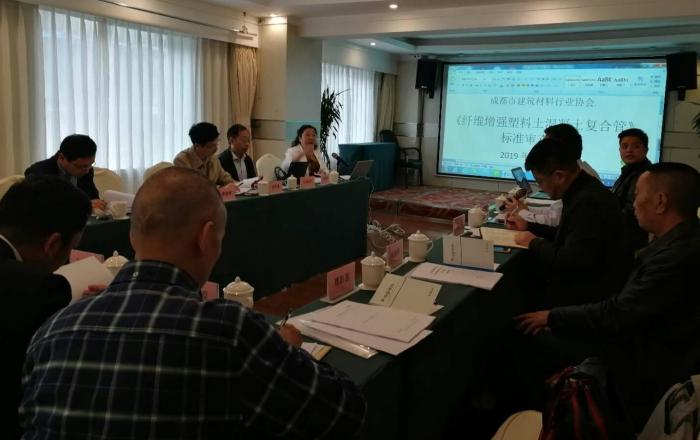 第一个团标审查会（图片）2019.3.3.jpg